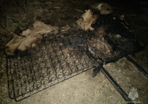 Тело мужчины утром 9 апреля нашли в задымленном тепляке в селе Ключевское Борзинского района