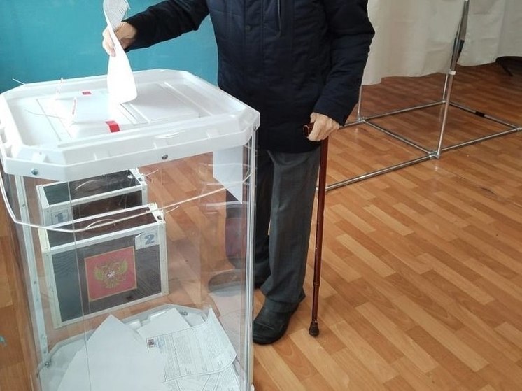 В суд передали дело женщины, залившей зеленкой избирательную урну под Воронежем