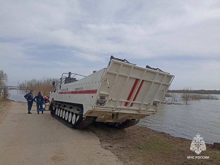 В Рязанской области от воды освободились три моста и 19 приусадебных участков