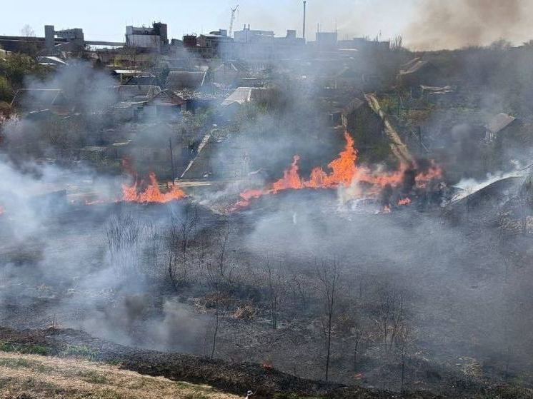 В Мелитополе загорелся камыш: Украина уже сочиняет фейки