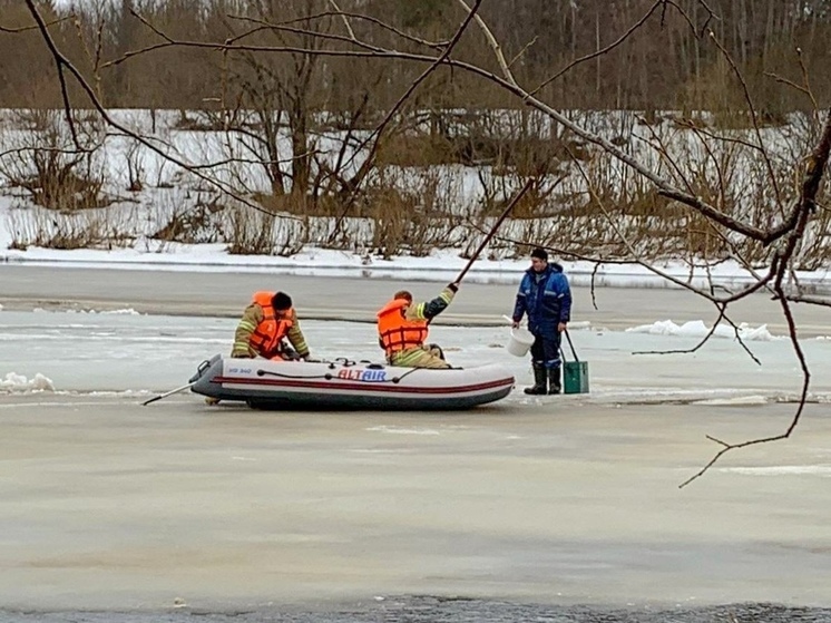 Огнеборцы сняли рыбака со льдины в Устьянском округе