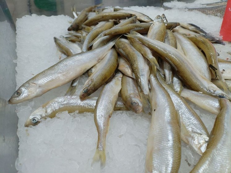 Каждому петербуржцу — по доступной корюшке: горожанам пообещали низкие цены на рыбу