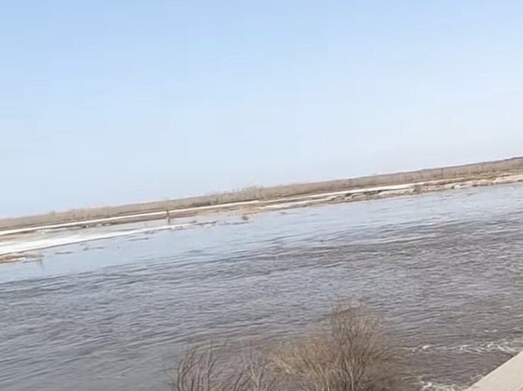 Уровень воды в Тоболе у Звериноголовского в Курганской области за 2 часа вырос на 21 см
