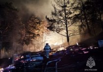 В ночь на 10 апреля в Республике Алтай вблизи Чемальской ГЭС огонь уничтожил более 30 торговых ларьков и перешел на лесной массив.