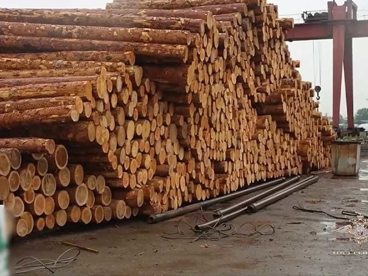 Приговор о контрабанде леса на 131 млн вынесли в Приангарье