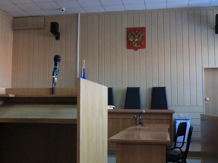 Жителя Новосибирска осудили за случайное убийство 14-летнего подростка деревом