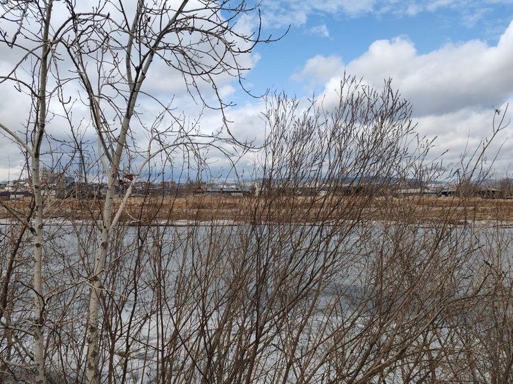 В Улан-Удэ вырос уровень воды в реке Селенга