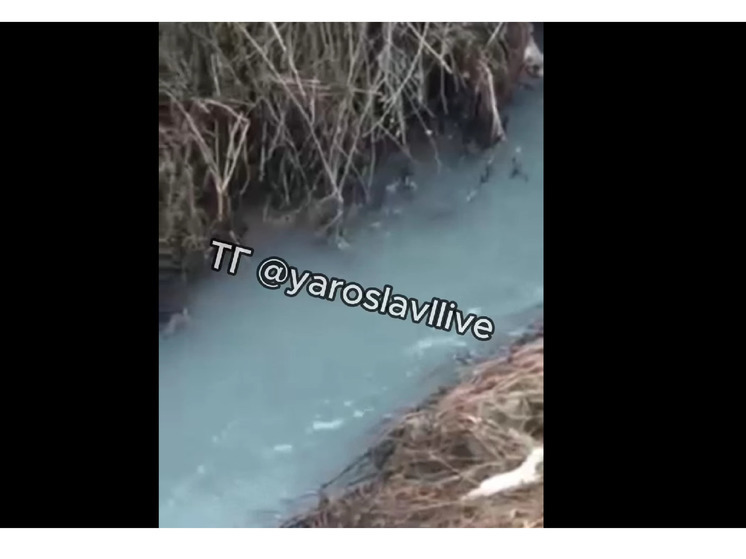 Жители Ярославля добились проверки воды в ручье
