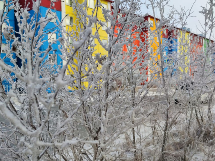 В среду в отдельных районах Чукотки пройдет небольшой снег