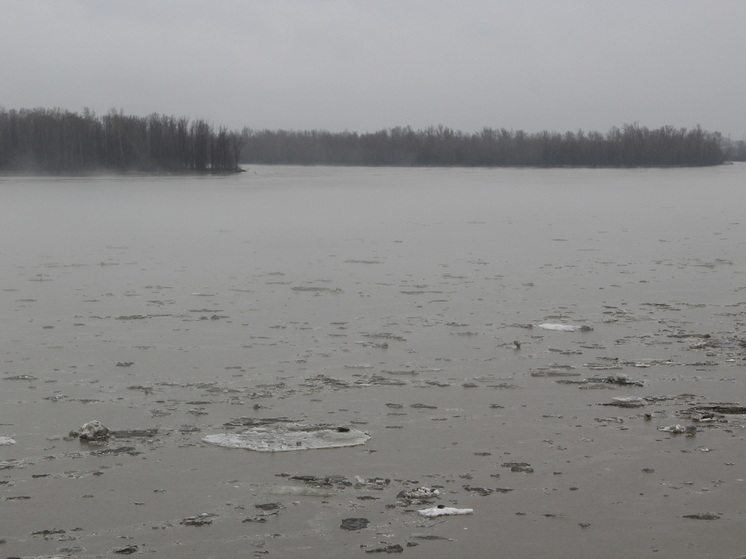 Власти Барнаула взяли паводковую ситуацию в Затоне на особой контроль