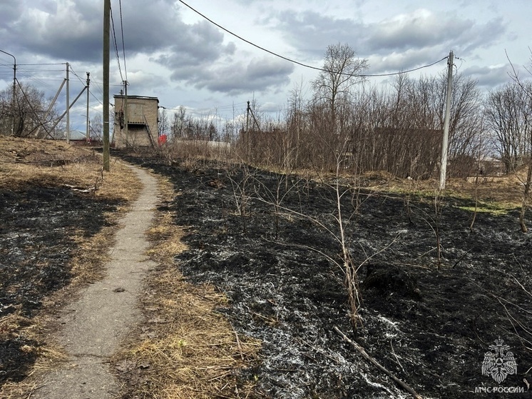 Три пала сухой травы зафиксировано за минувшие сутки в Вологодской области