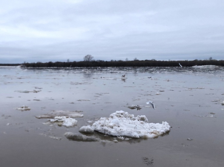 Гидрологи проинформировали об актуальной ледовой обстановке на реках Поморья