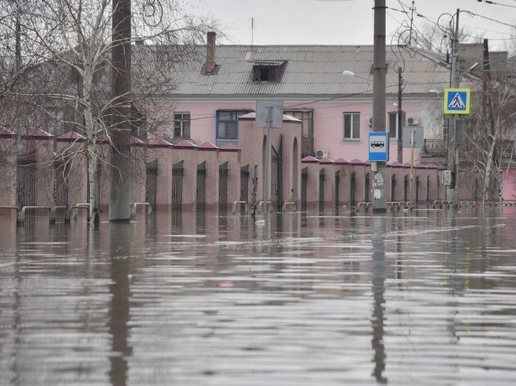 Соседние регионы отправили гуманитарную помощь в Оренбургскую область