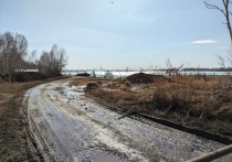 Масштабная проверка мигрантов прошла в тепличных хозяйствах под Красноярском 9 апреля