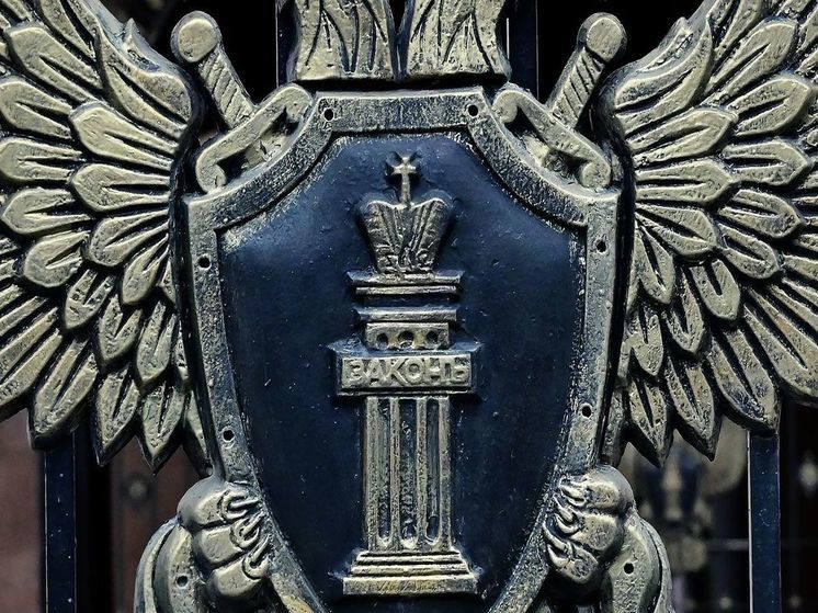 Прокуратура подала апелляцию на приговор виновнику гибели поэта Рубинштейна
