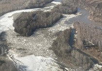 Для ликвидации заторов на реке Обь в Шелаболихинском районе специалисты взорвут лед.
