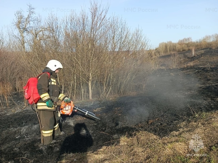 В Орловской области 16 раз загорелась сухая трава