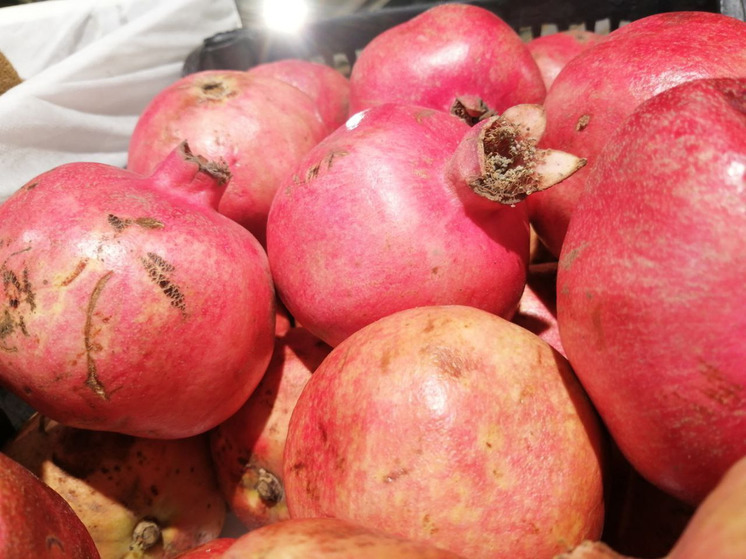 Медики заявили, что жители Мурманской области едят слишком мало овощей и фруктов