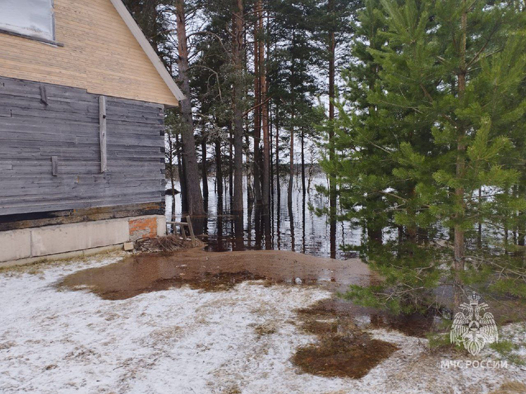 Паводок в Новгородской области набирает силу