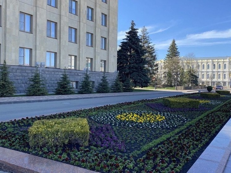 На клумбах Ставрополя высадили более 200 тысяч цветов