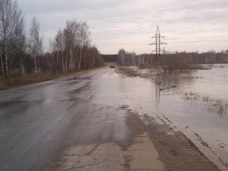 Число затопленных территорий на Брянщине сократилось до 290