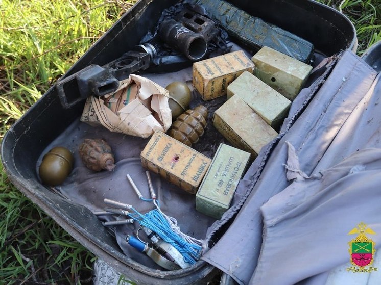 В Запорожской области найден очередной схрон с оружием и боеприпасами