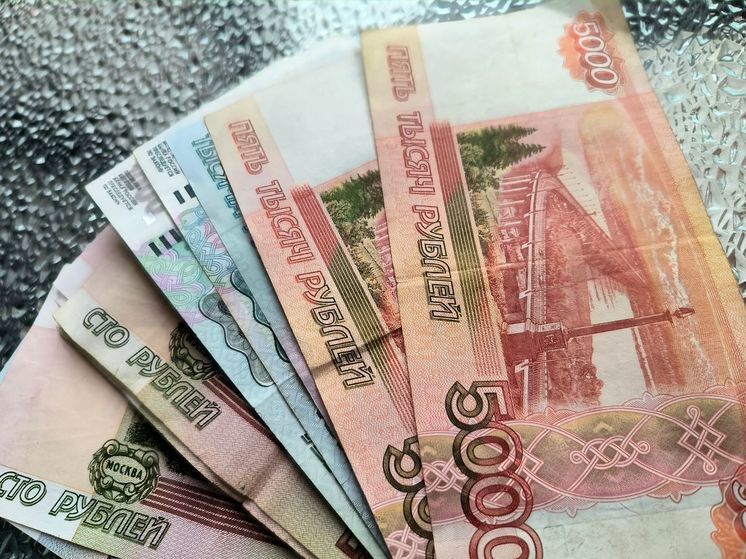 Набиуллина: ЦБ предложил шесть мер для борьбы с бедностью в России