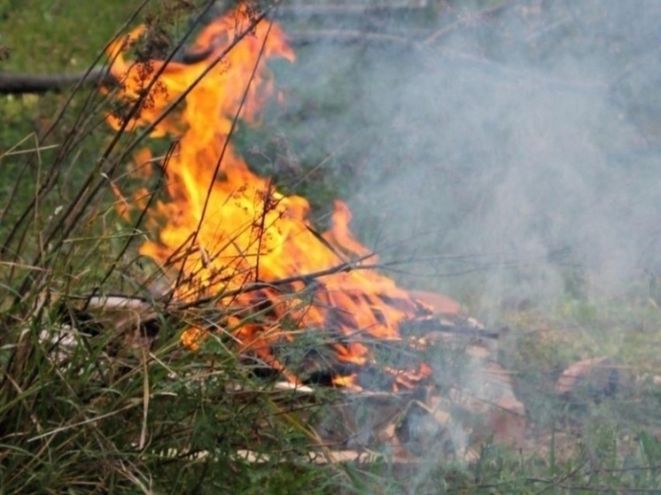 В Липецке и области введен особый противопожарный режим