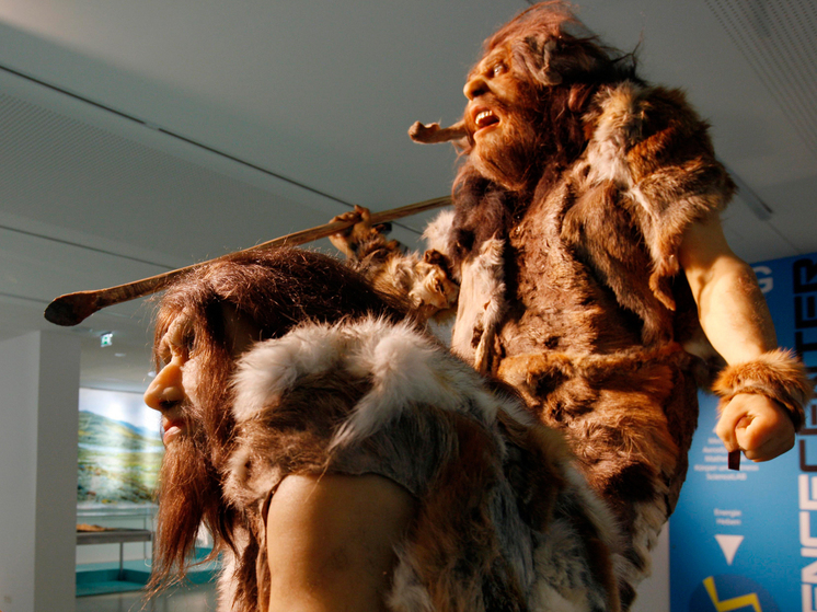 Ученые выявили сходство неандертальцев и спортсменов: «организм в режиме выживания»