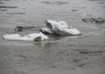 10 апреля специалисты управления Алтайского края по делам ГОЧС и ПБ совместно со взрывотехниками разрушили ледовый затор на Оби в Шелаболихинском районе.
