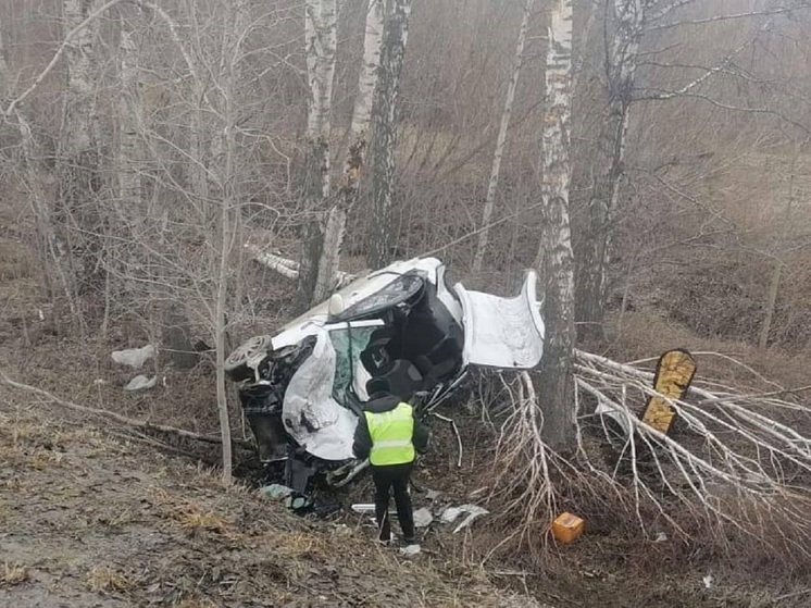 Два человека погибли в столкновении автомобиля с деревом в Екатеринбурге