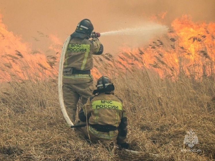 Пожароопасный сезон начался в Курганской области