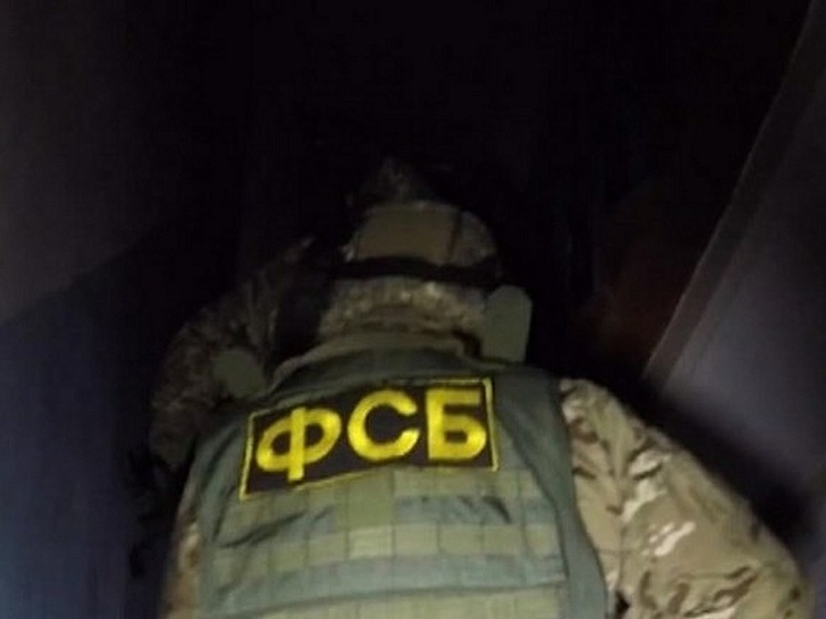 ФСБ задержала студента из Макеевки за сбор данных о дислокации российских войск для СБУ