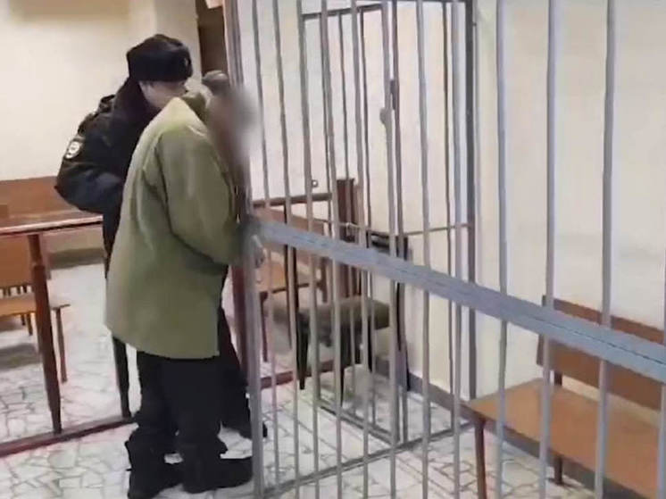 Пожилой убийца соседа из Алатырского округа приговорен к долгому лишению свободы
