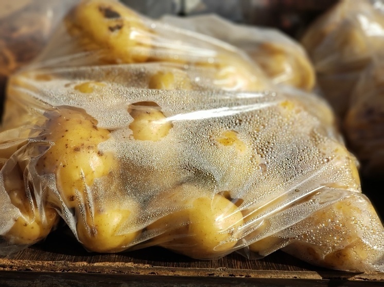 Ученые из Новосибирска вывели новый сорт картофеля с уникальными свойствами