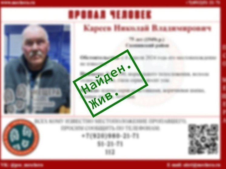 Пропавшего в Скопинском районе 74-летнего мужчину нашли живым