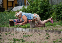 Весна сегодня наступает стремительно