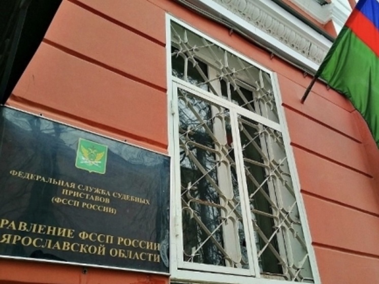 В Ярославской области в настоящее время 26 тысяч человек лишены права выезда за границу