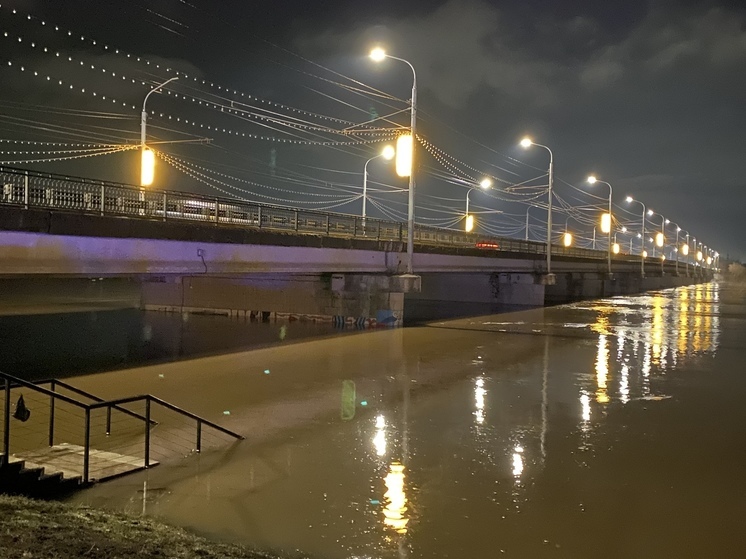 Вода поднялась до предельных значений автомобильного моста через Урал