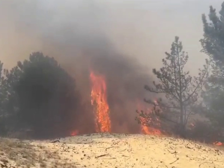 Пожар в Алешкинском округе Херсонской области ликвидирован