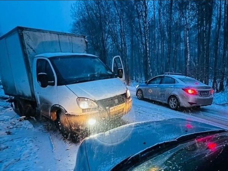 В Мяглово местные жители помогли задержать нарушителя