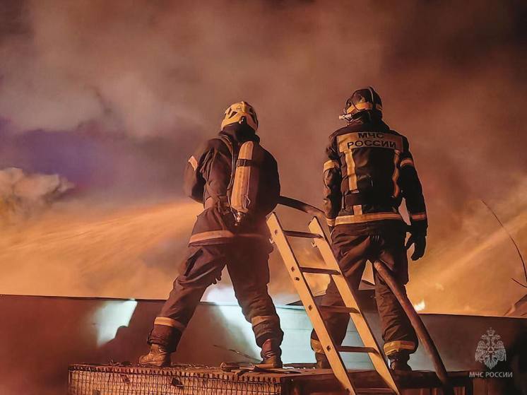 МЧС: при масштабном пожаре в Ижевске двое пострадали