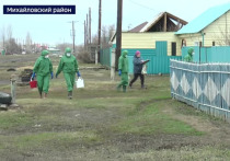 В Волчихинском и Михайловском районах Алтайского края после паводка начали санитарную обработку придомовых территорий.