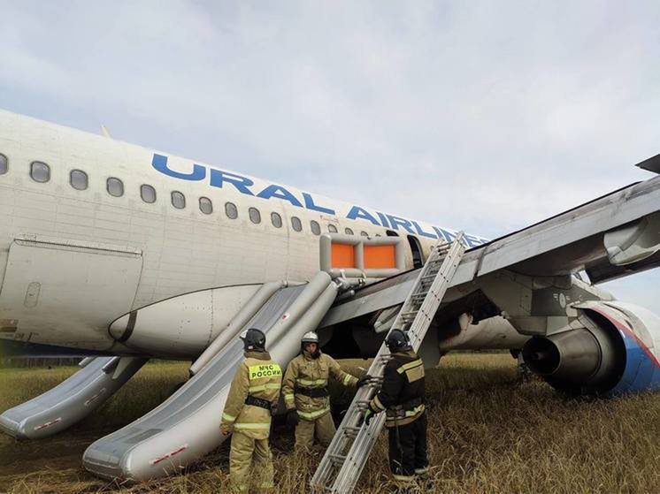 «Уральские авиалинии» не вернут к полётам Airbus A320, севший в поле под Новосибирском