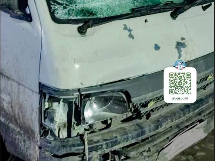 Засмотревшийся в телефон водитель сбил на дороге сахалинца