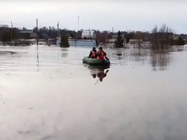 МЧС опубликовало видео из подтопленной деревни Вершинино Томского района