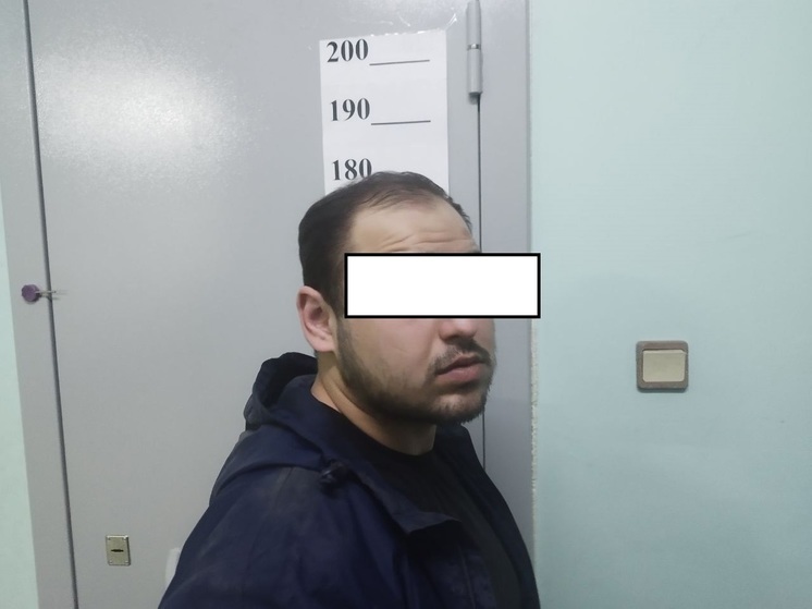 Задержанный в компьютерном клубе Цыган заключен под стражу