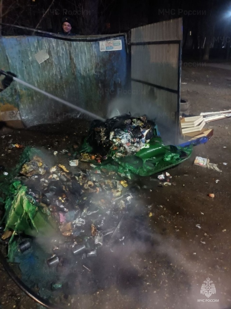 За ночь в Ярославле сожгли семь мусорных контенеров
