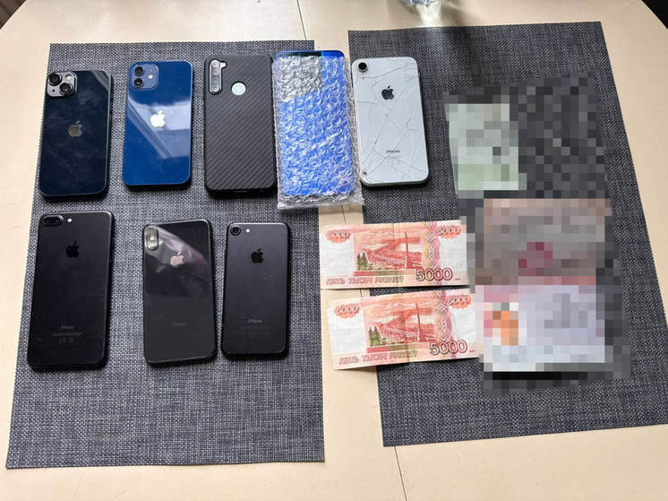 Полиция задержала банду карманников, по ночам воровавших телефоны у петербуржцев