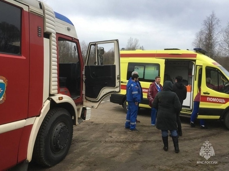 Киришские пожарные помогли женщине в лесу